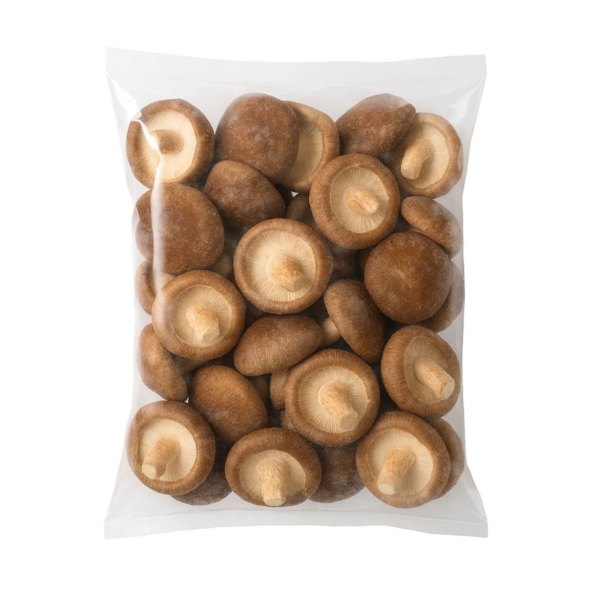 Hongo shiitake GECE 500 g